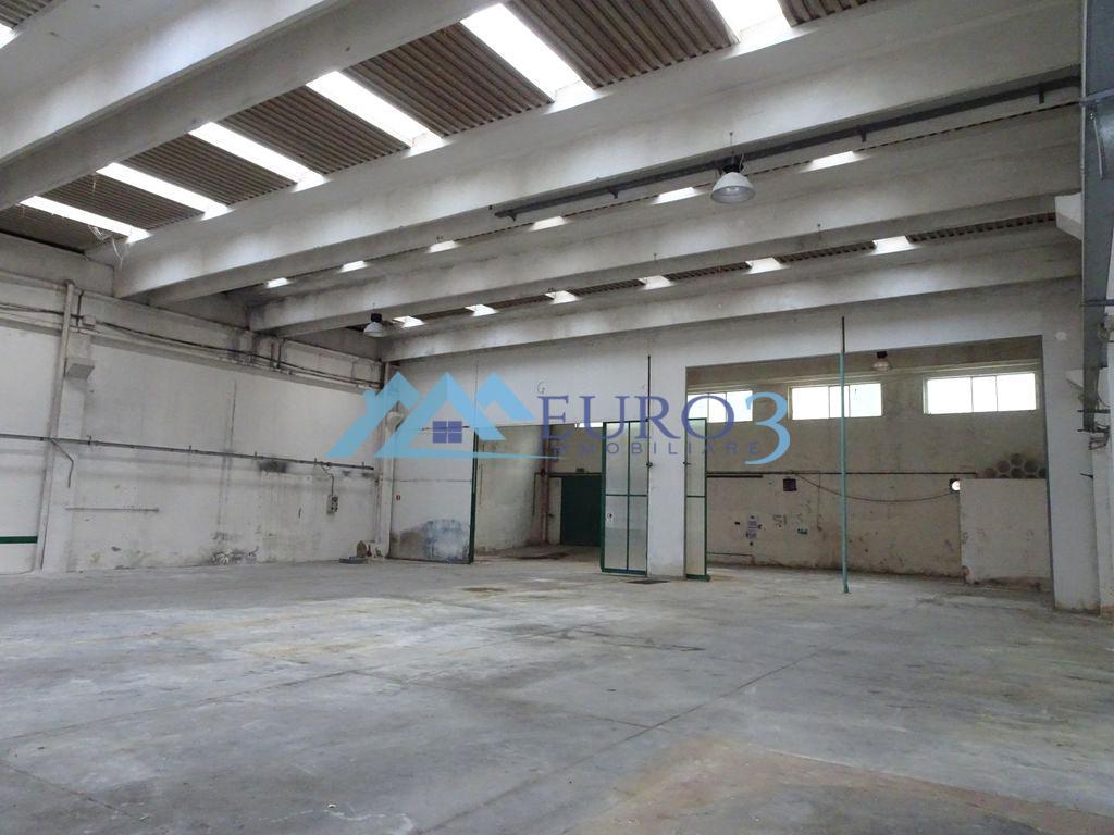 3867 SHED SALE ANCARANO4