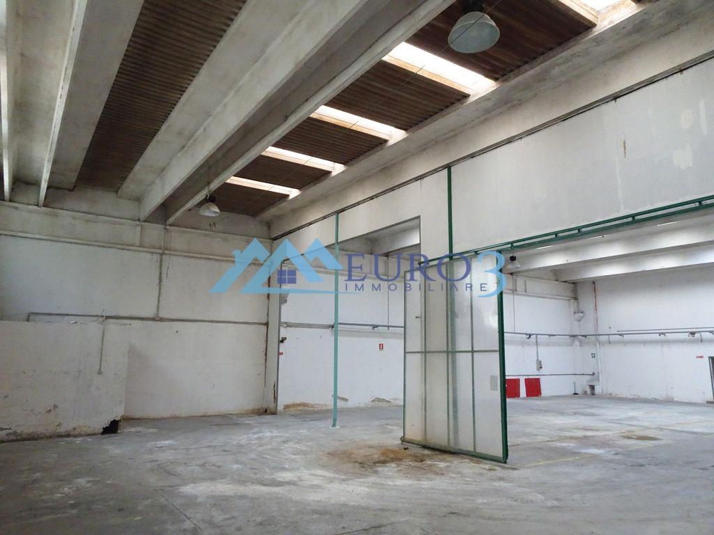 3867 SHED SALE ANCARANO7