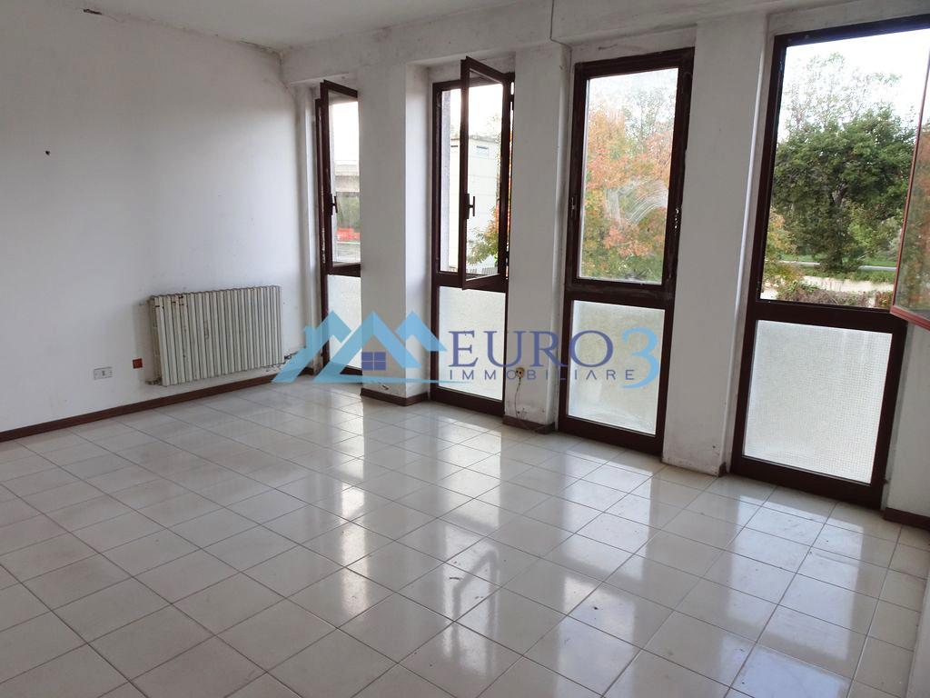 3867 SHED SALE ANCARANO8