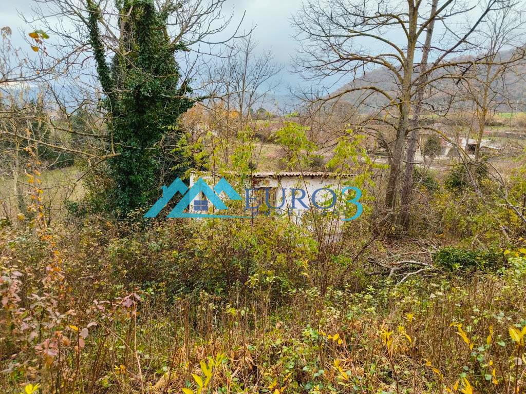 3884 CASA SINGOLA VENDITA VENAROTTA4