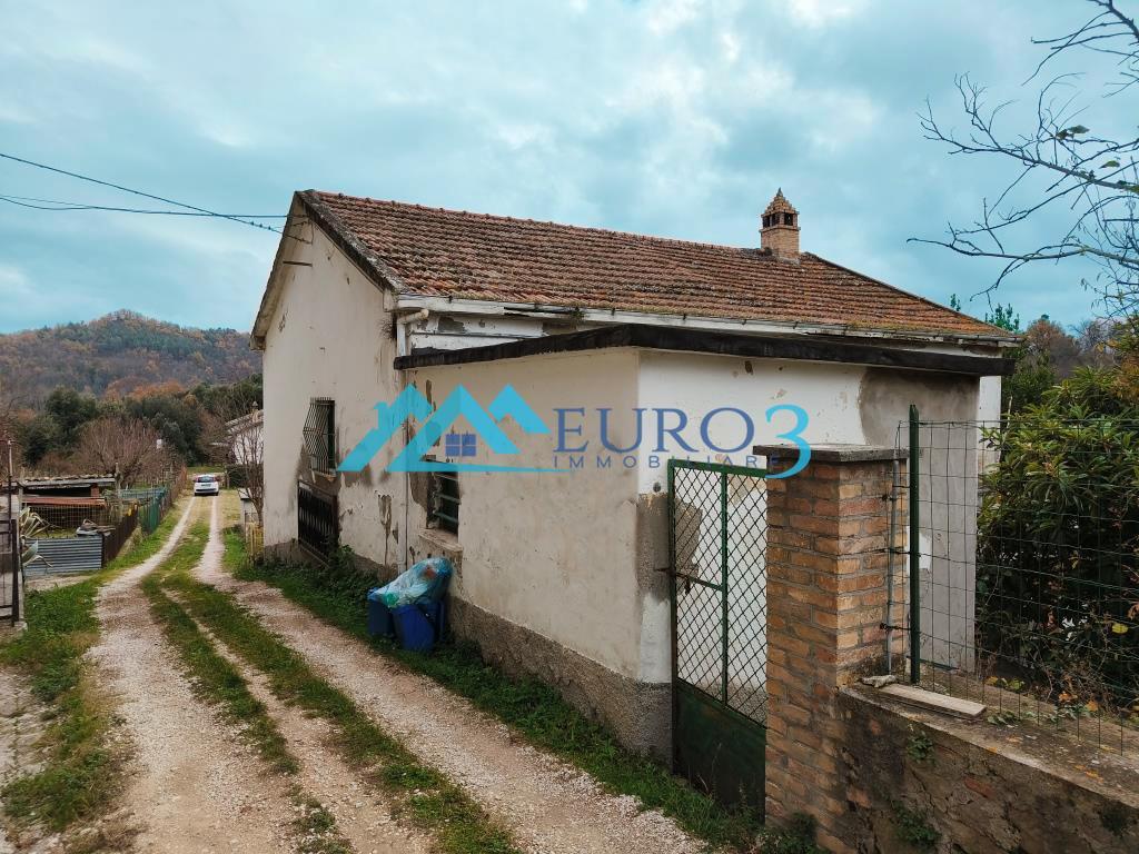 3884 CASA SINGOLA VENDITA VENAROTTA6