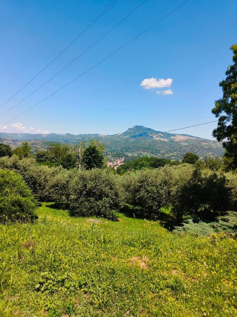 3953 VILLINO VENDITA ASCOLI PICENO17