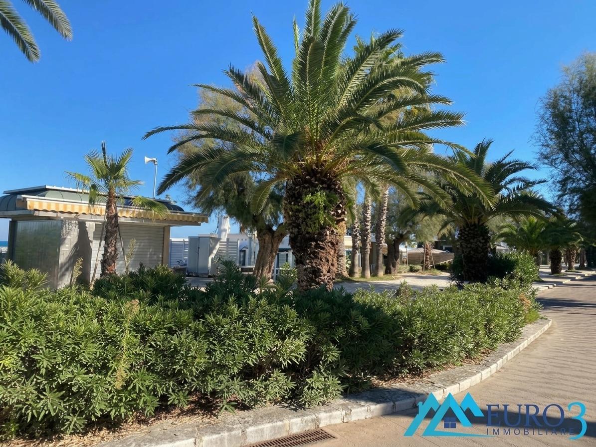 3973 APPARTAMENTO VENDITA SAN BENEDETTO DEL TRONTO18