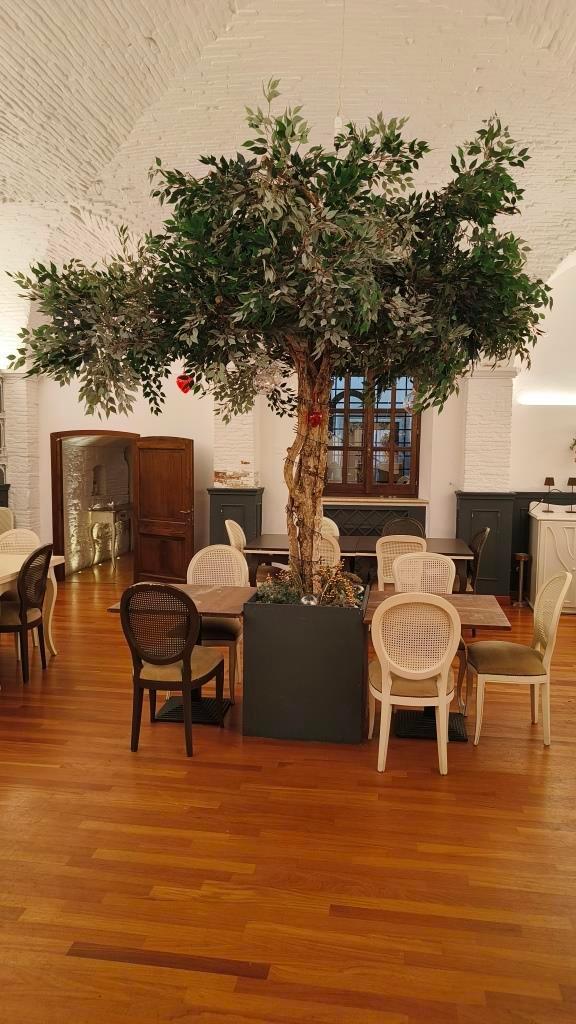 3982 ATTIVITA COMMERCIALE VENDITA ASCOLI PICENO3