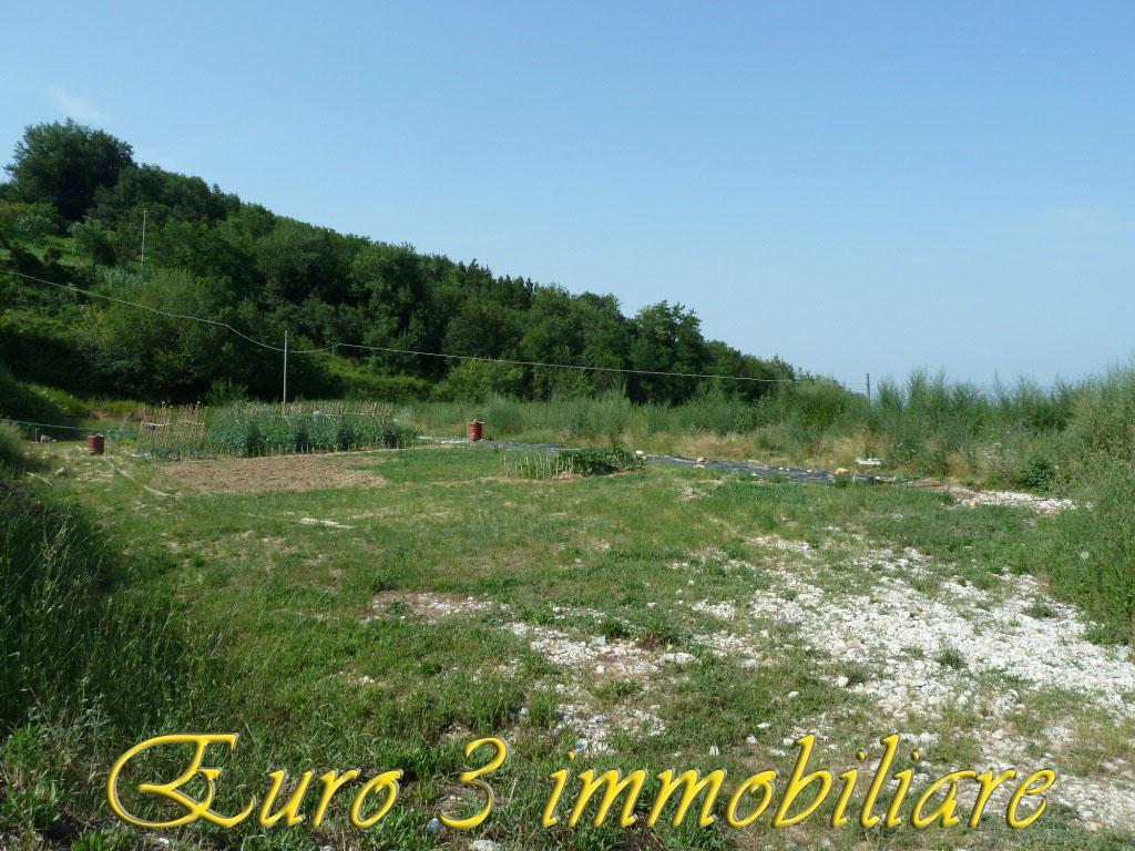 957 - LAND - SALE - € 200000 - ASCOLI PICENO HORNBEAM